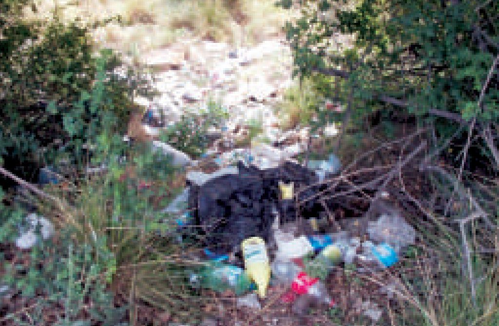 Basural clandestino