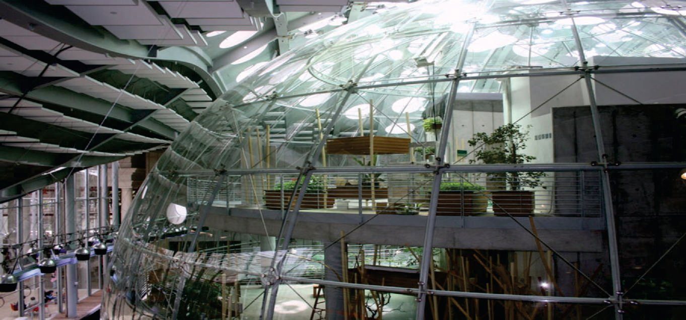 Academia de las Ciencias, San Francisco