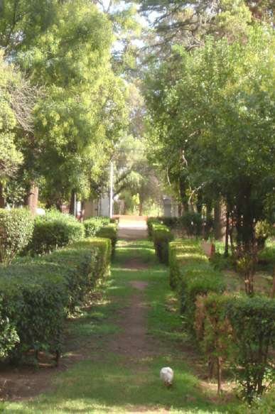 El parque