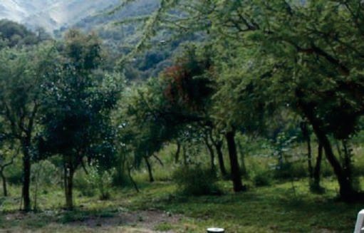 Parque natural