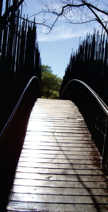 La construcción del paisaje