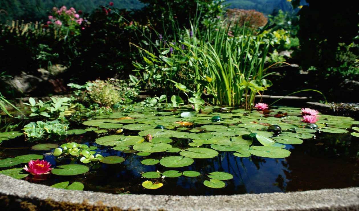 Jardines de agua