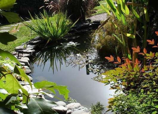 Jardines de agua