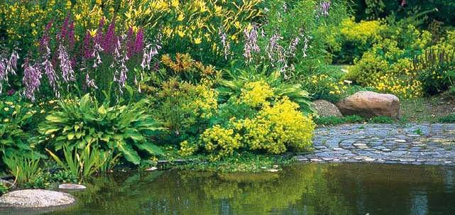 Jardines de agua