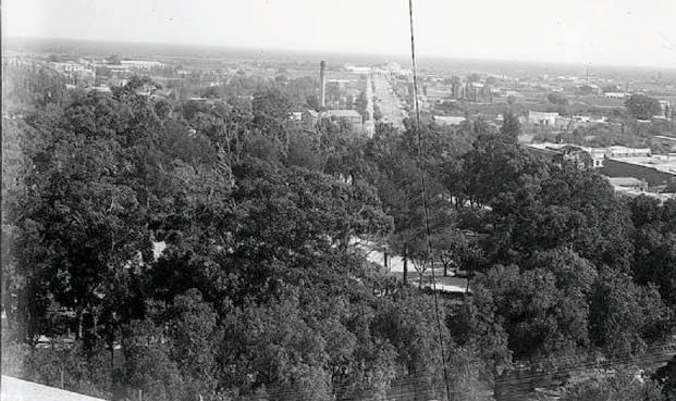 Foto panorámica de la Av. Quintana