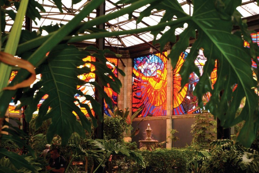 Cosmovitral