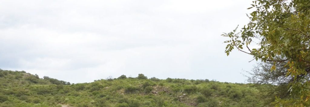 Concursar sueños