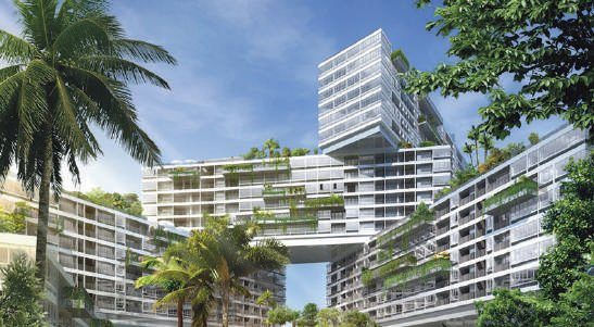 The Interlace