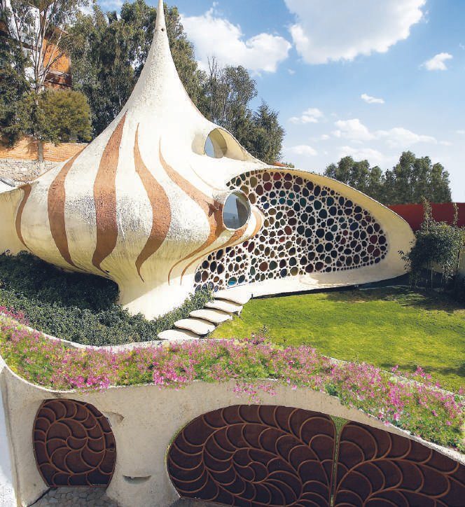 Nautilus