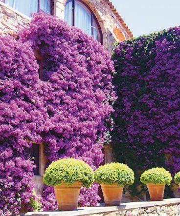 Cercar el jardín