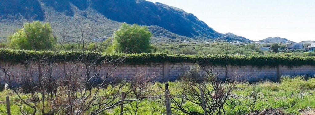 El otro lado del muro