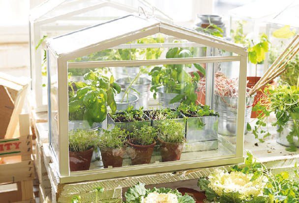 Caja vidriada con cubierta a dos aguas, ideal para plantas jóvenes.