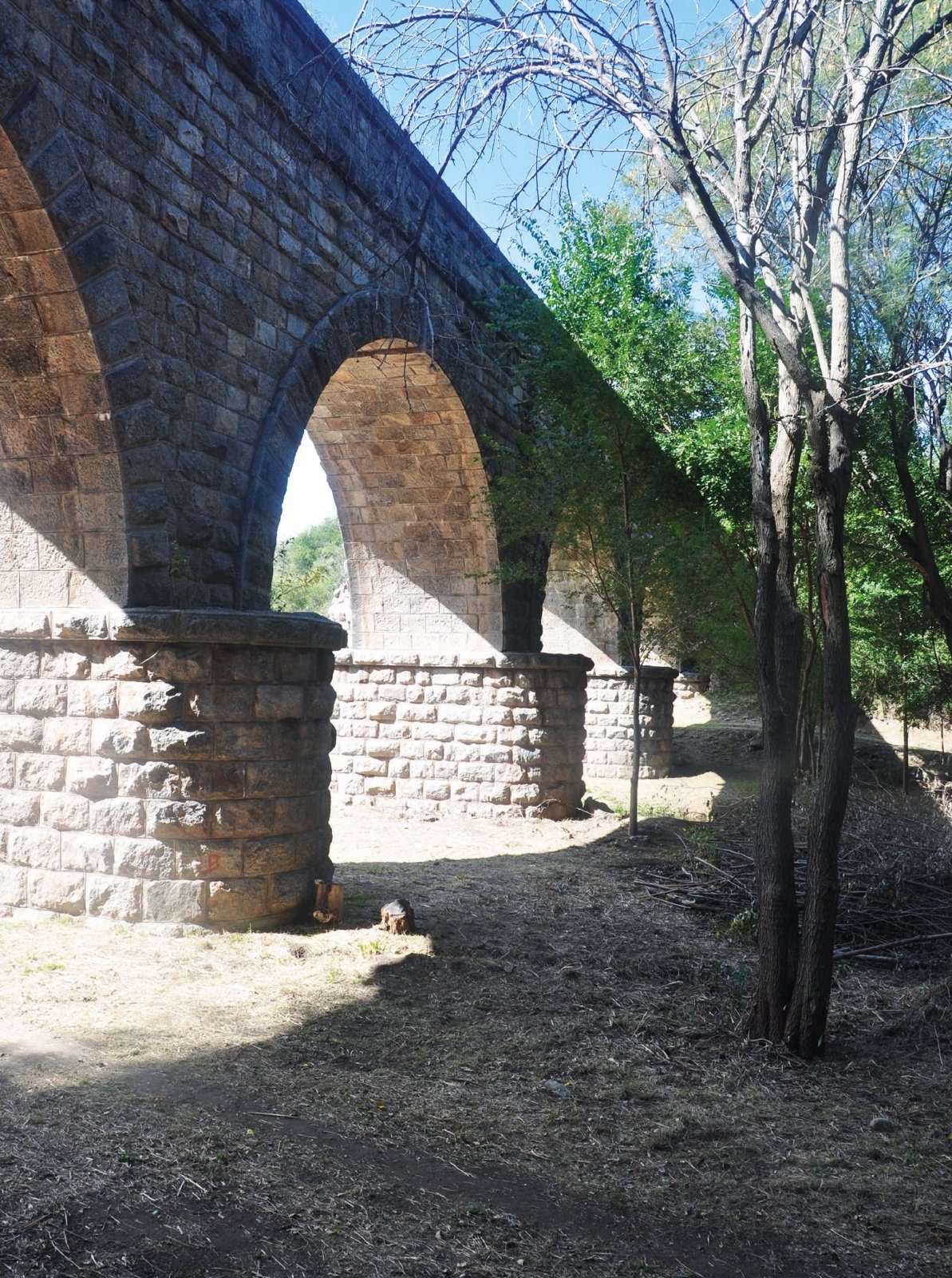 Acueducto Vulpiani
