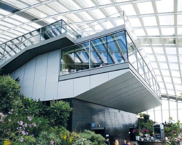 Jardín interior