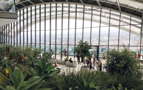 Jardín interior