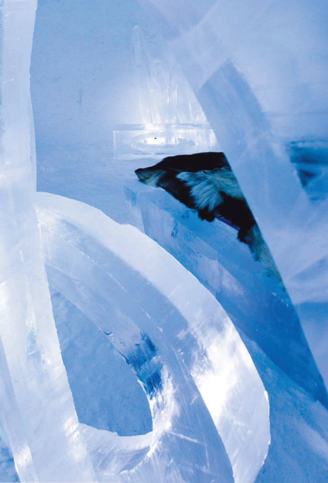Arquitectura de hielo