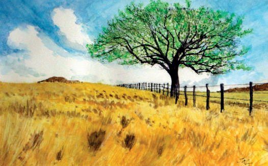Naturaleza solitaria