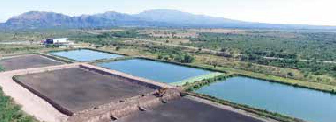 Lagunas de oxidación en Donovan