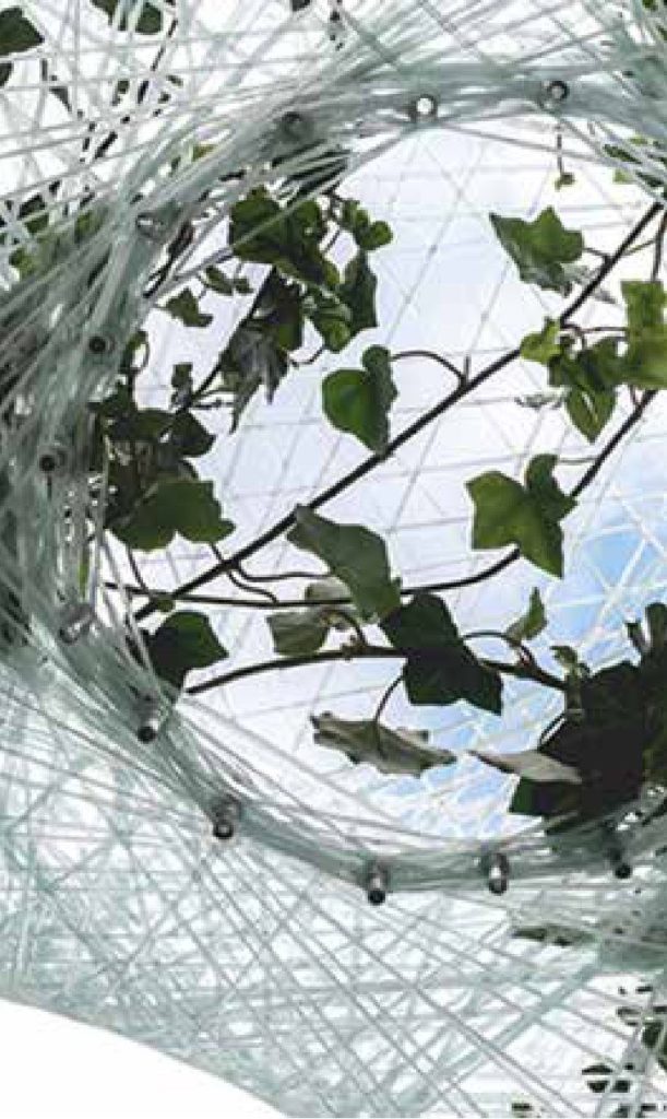 El arte de hacer crecer la estructura