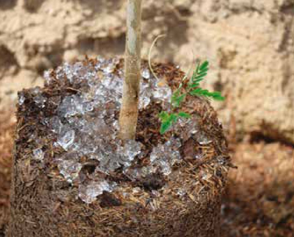 Agua sólida