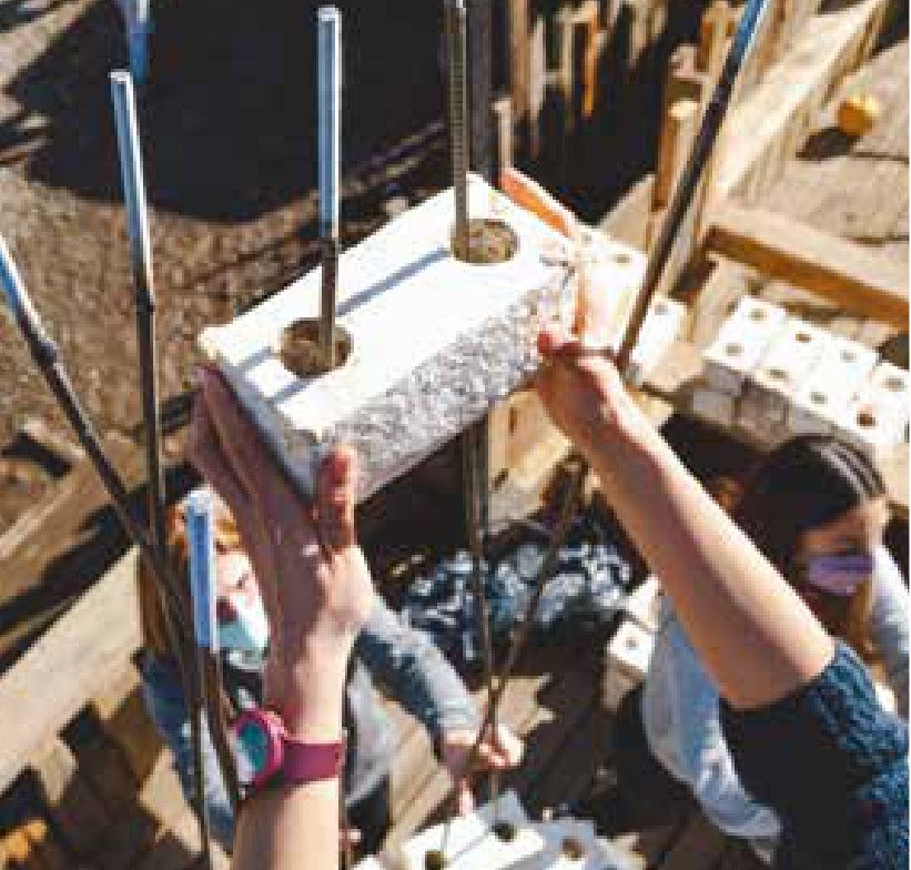 Ladrillos de hongos