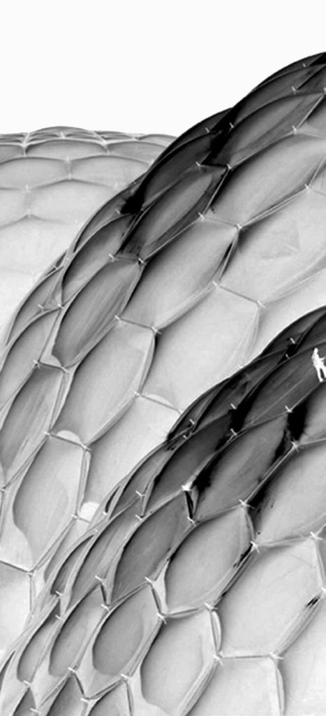 Arquitectura textil
