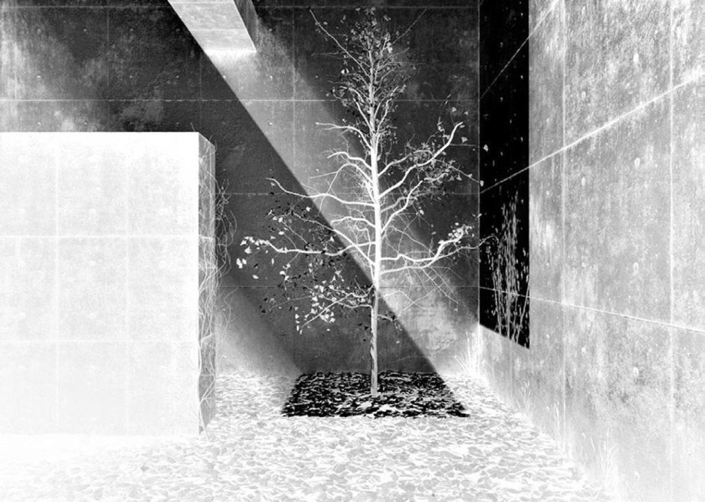 De luz y de sombras