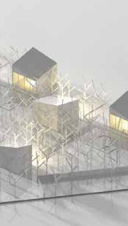 3º premio: Glamping Híbrido, arq. Tomás Bravo Nieto