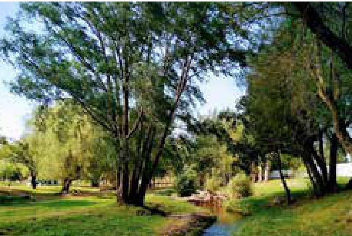 Sistema Verde San Luis